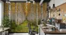 Birch Tree Forest Wall Mural 7