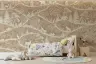 Enchanted Woodland Animals Beige & White Wall Mural 7