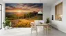 Rolling Hills Tuscan Golden Hour Wall Mural 8