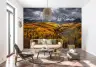Sunlit Golden Aspen Valley Mountain Mural 6