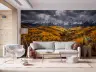 Sunlit Golden Aspen Valley Mountain Mural 7