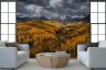Sunlit Golden Aspen Valley Mountain Mural 8