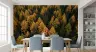 Autumn Forest Canopy Wall Mural 7