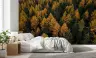 Autumn Forest Canopy Wall Mural 6