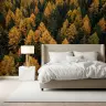 Autumn Forest Canopy Wall Mural 8