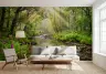 Sunlit Forest Stream Wall Mural 6