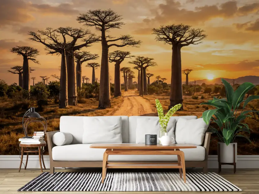 Golden Baobab Path Wall Mural