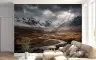 Dramatic Mountain River Valley Wall Mural 6