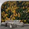 Golden Autumn Forest Canopy Wall Mural 8