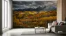 Golden Aspen Mountain Wall Mural 6
