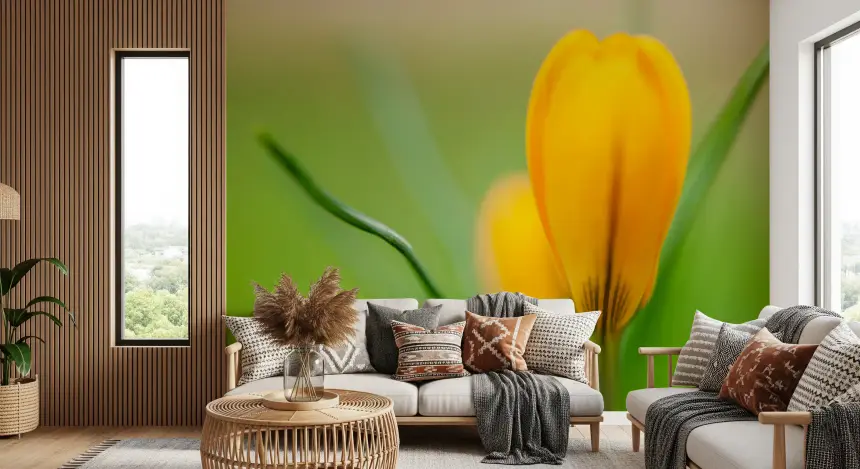 Golden Crocus Serenity Wall Mural