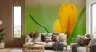 Vibrant Yellow Crocus Floral Wall Mural 8