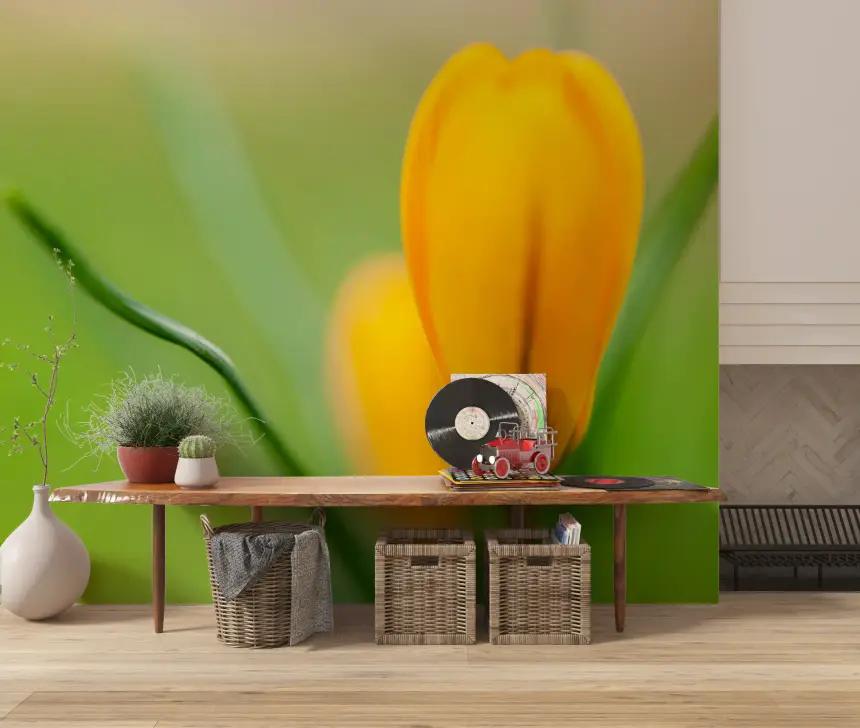 Golden Crocus Serenity Wall Mural
