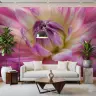 Pink Dahlia Flower Wall Mural 6