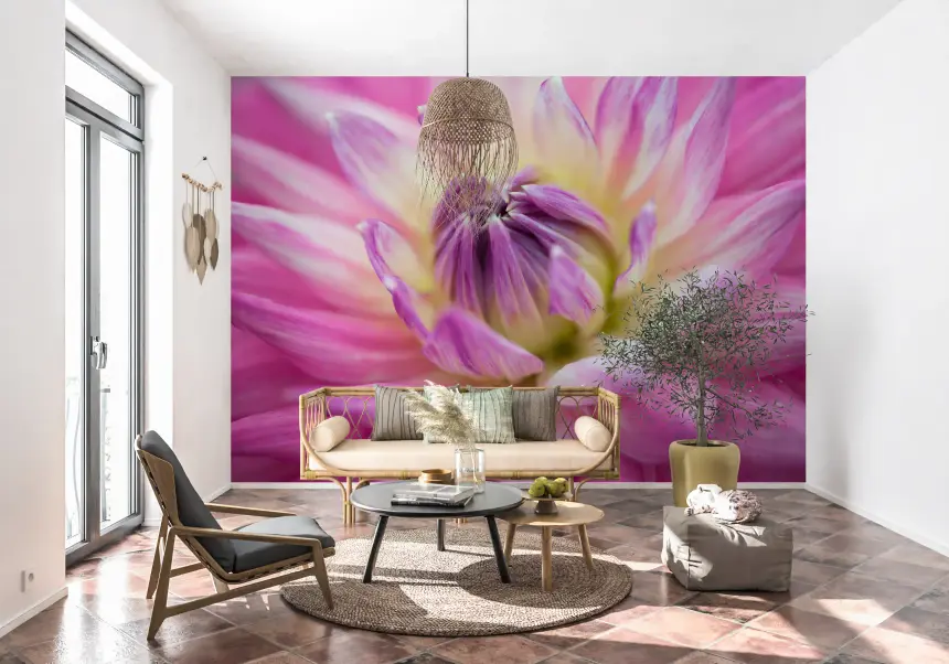 Vibrant Dahlia Blossom Wall Mural