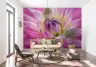 Pink Dahlia Flower Wall Mural 7
