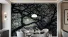 Moonlit Bare Tree Branches Wall Mural 7