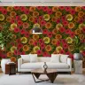 Vibrant Dahlia Bloom Floral Wallpaper 7