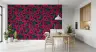 Crimson Dahlia Bloom Floral Pattern Wallpaper 7
