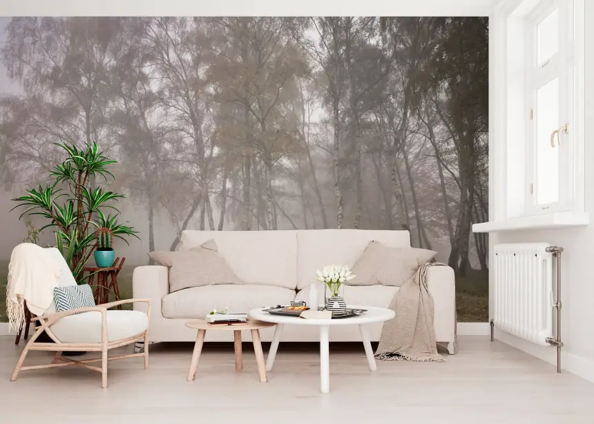 Misty Birch Grove Wall Mural