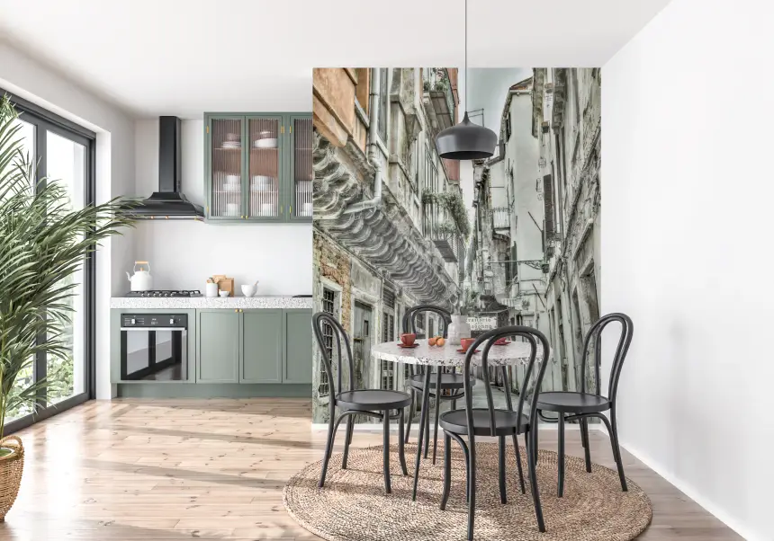 Venetian Alley Whisper Wall Mural