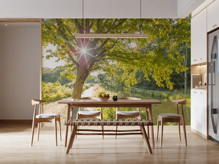 Sunlit Woodland Canal Wall Mural