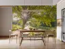 Sunlit Woodland Path and Canal Wall Mural 8