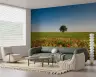 Vibrant Poppy Field Landscape Wall Mural 6
