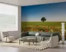 Vibrant Poppy Field Landscape Wall Mural 8