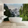 Emerald Lake Alpine Forest Peaks Wall Mural 8