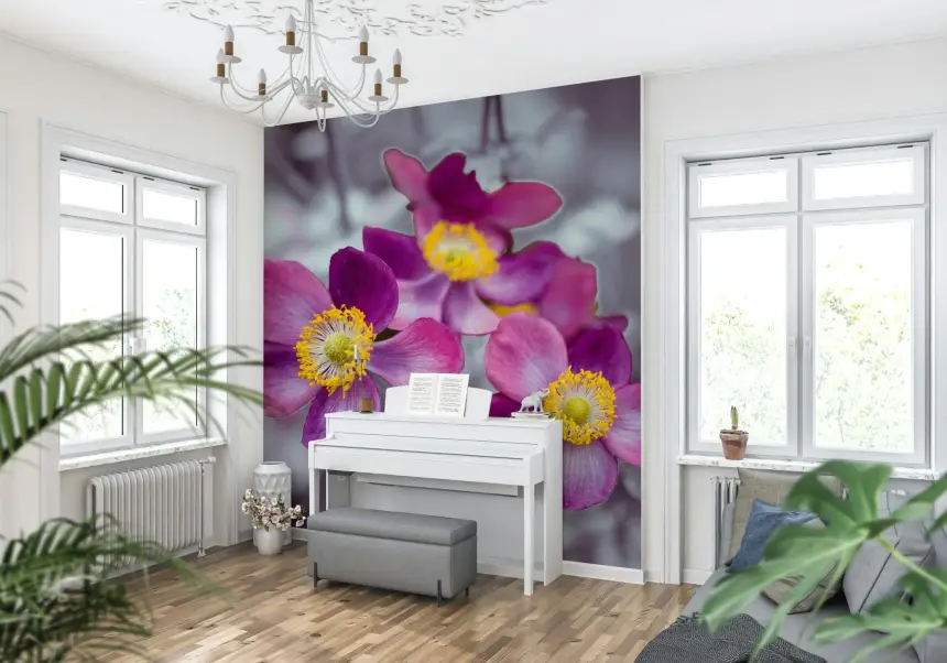 Anemone Flowers Wall Mural