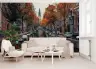 Amsterdam Canal Autumn Wall Mural 6
