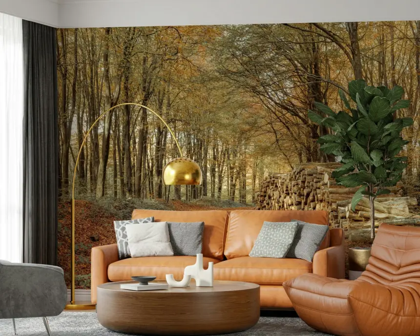 Autumn Forest Scene Wall Mural
