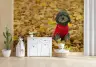 Dog in Red Sweater Autumn Leaves Wall Mural 7