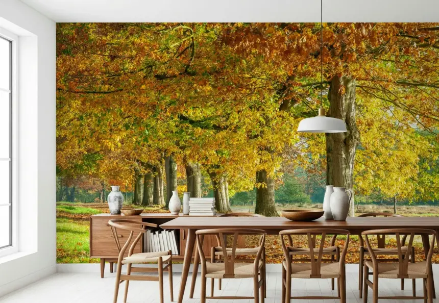 Autumn's Avenues Wall Mural