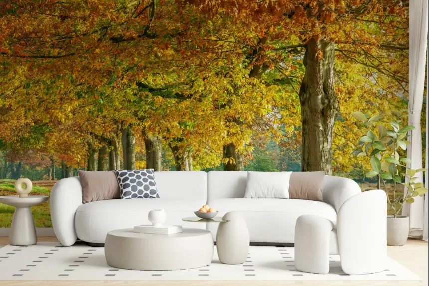 Autumn's Avenues Wall Mural