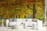 Autumn Tree Lined Avenue Wall Mural 7