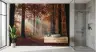 Misty Golden Autumn Forest Sunrays Path Wallpaper Mural 6