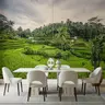 Lush Green Rice Terraces Wall Mural 8
