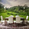 Lush Green Rice Terraces Wall Mural 6