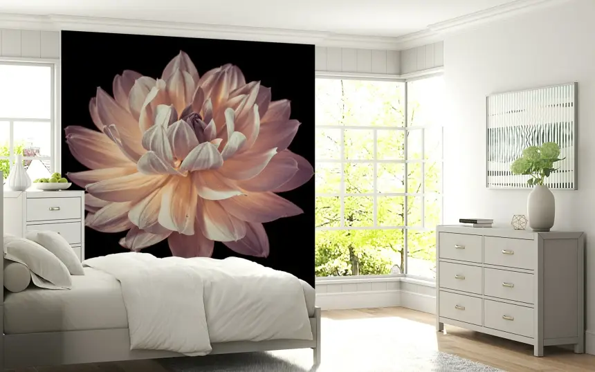 Blooming Dahlia Wall Mural