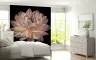 Large Dahlia Flower Wall Mural 7
