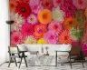 Dahlia Floral Burst Wall Mural 6
