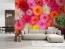 Dahlia Floral Burst Wall Mural 8