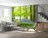 Enchanting Bluebell Forest Path Wall Mural 6
