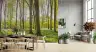 Enchanted Forest Wall Mural 6