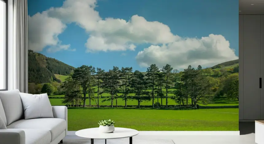 Countryside Meadow Wall Mural