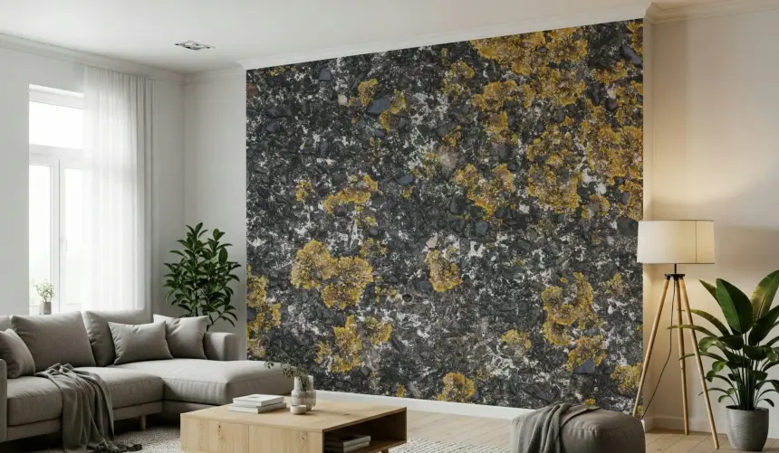 Cracked Stone Wall Mural -2566609