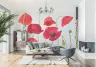 Vibrant Red Poppy Blooms Botanical Wall Mural 7