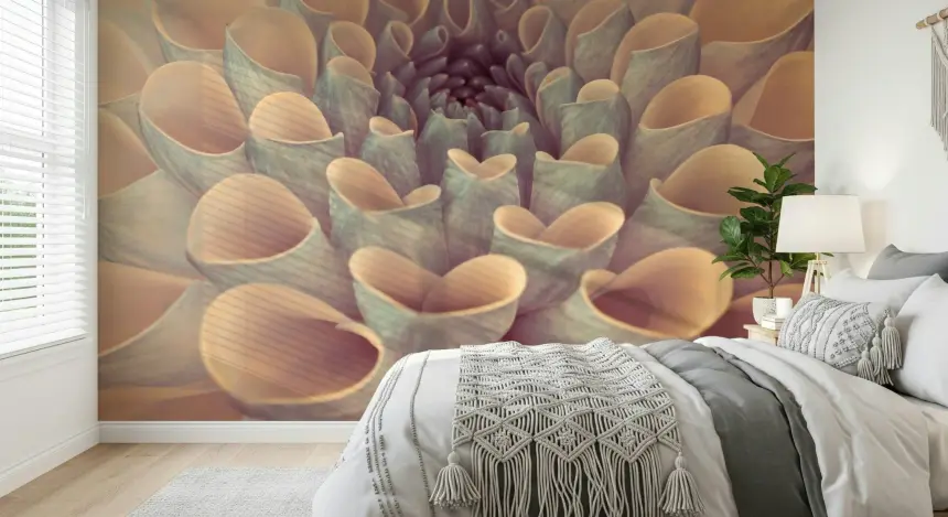 Dahlia Petals Wall Mural